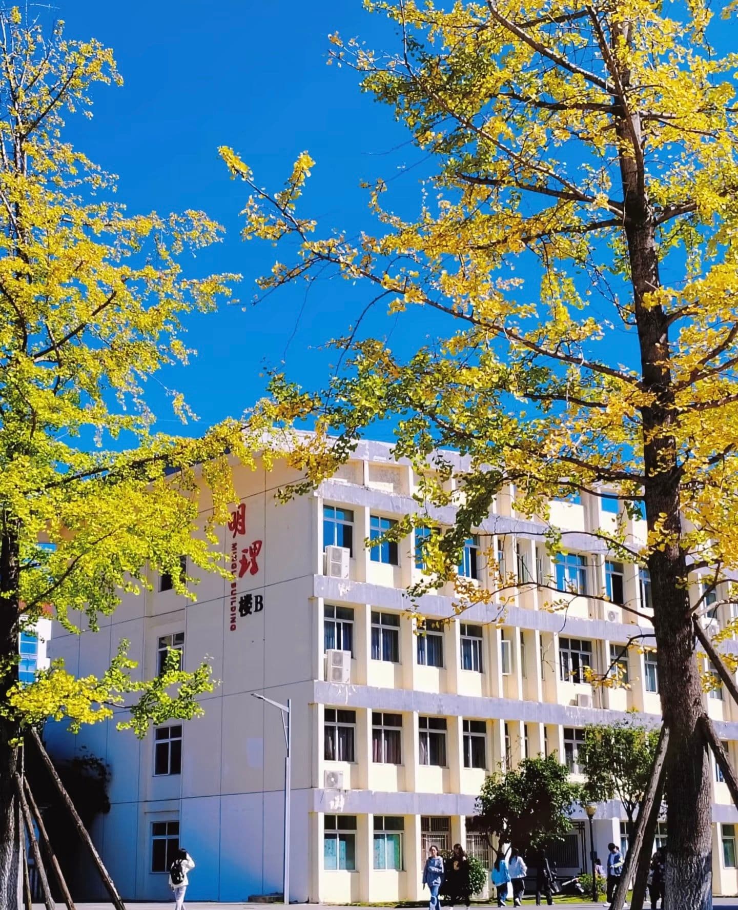 Học bổng 1 năm tiếng Trung tại Quý Châu - Cơ hội vàng cho Du học sinh Việt Nam